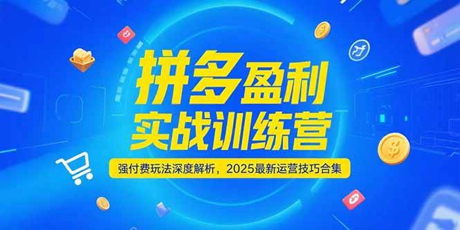 （15183期）拼多多盈利实战训练营，强付费玩法深度解析，2025最新运营技巧合集-刀客资源网