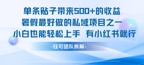 单条贴子带来5张的收益，暑假最好做的私域项目之一，小白也能轻松上手，有小红书就行-刀客资源网