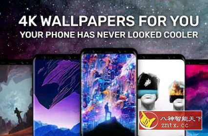 Walli Pro 4K壁纸 2.12.82高级版-刀客资源网