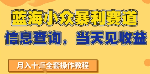 蓝海小众暴利赛道，信息查询，当天见收益，不讲玄学，7天搞了2W+-刀客资源网