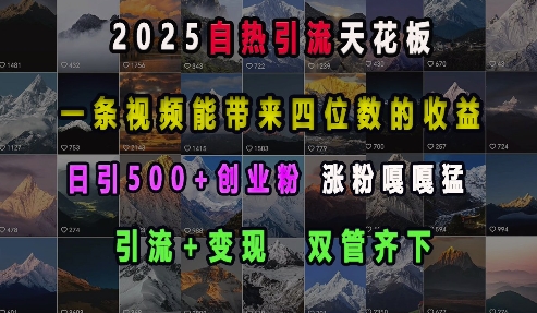 2025自热引流天花板，一条视频能带来四位数的收益，引流+变现双管齐下，日引500+创业粉，涨粉嘎嘎猛-刀客资源网