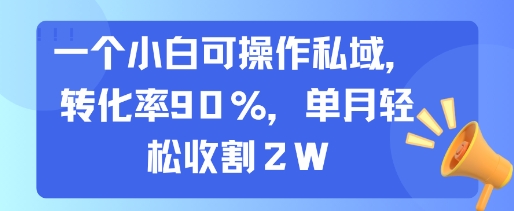 一个小白可操作私域，转化率90%，单月轻松收割2W-刀客资源网