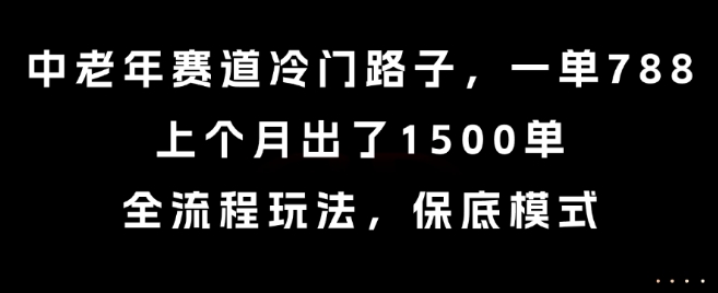 中老年赛道冷门路子，一单788，上个月出了1500单，全流程玩法，保底模式【揭秘】-刀客资源网