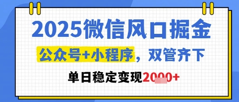 2025微信风口掘金，公众号+小程序双管齐下，单日稳定变现1k+【揭秘】-刀客资源网