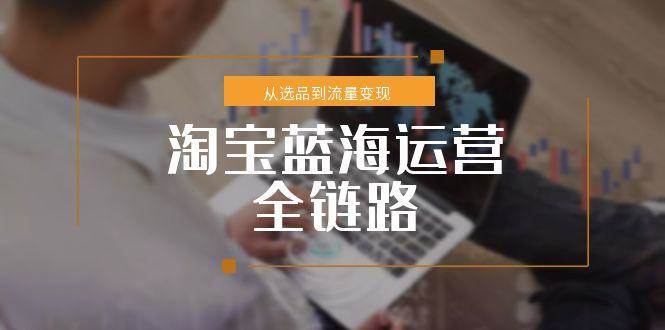 （15160期）淘宝蓝海运营全链路，从选品到流量变现，小类目突围完整方案-刀客资源网