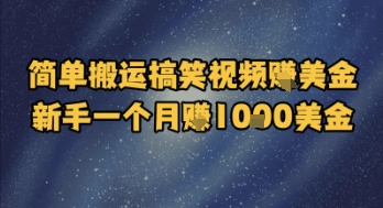 简单搬运搞笑视频挣美金，新手一个月入1k美金-刀客资源网