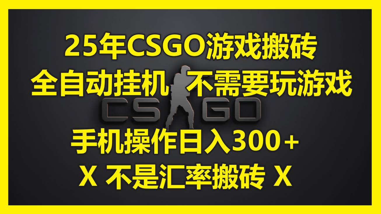 （14902期）25年CSGO游戏搬砖，全自动挂机，不需要玩游戏，手机操作日入300+。(不…-刀客资源网