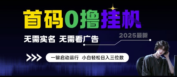 首码0撸挂G项目，无需实名无需看广告 一键启动运行，小白轻松日入三位数【揭秘】-刀客资源网
