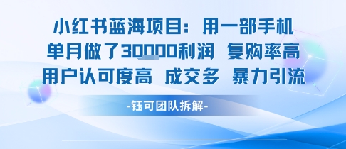 小红书蓝海项目，一部手机单月做了3W利润，小白也能月入过1W用户认可度高成交多-刀客资源网