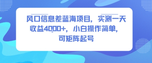 风口信息差蓝海项目，实测一天收益4k+，小白操作简单，可矩阵起号-刀客资源网