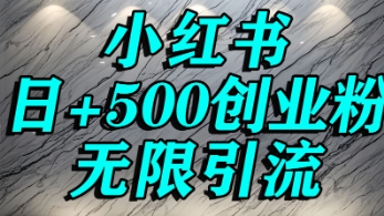 小红书无限引流创业粉，单人操作日引500+精准创业粉-刀客资源网
