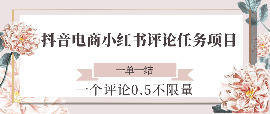 抖音电商小红书评论任务项目，一个评论0.5，一单一结 不限量-刀客资源网