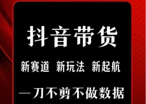 抖音短视频一刀不剪带货，不剪辑，不直播，每天发个视频，等着出单获取带货佣金-刀客资源网