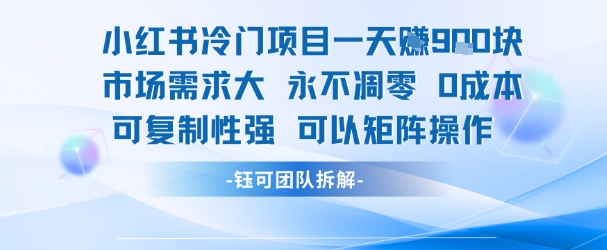 小红书冷门项目一天收益9张，市场需求大，0成本，可复制性强可以矩阵操作-刀客资源网
