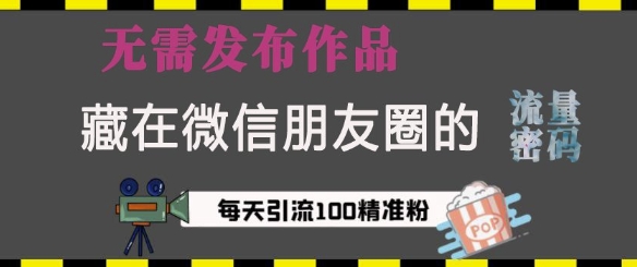 藏在微信朋友圈的流量密码，无需发布作品，单日引流100+精准创业粉【揭秘】-刀客资源网