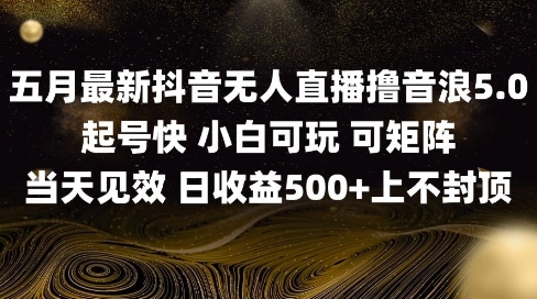 2025五月最新无人直播撸音浪单日产出5张+实操教程【揭秘】-刀客资源网