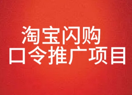 淘宝闪购口令推广项目，收益可观，一部手机，一个抖音号即可操作-刀客资源网