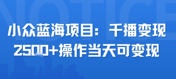 小众蓝海项目，千播变现2.5k+操作当天可变现-刀客资源网