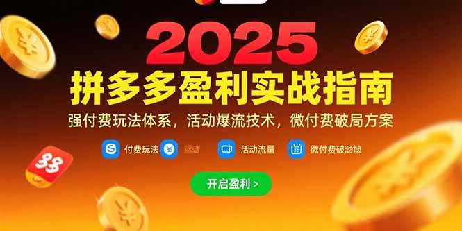 （15357期）拼多多盈利实战指南，强付费玩法，活动爆流技术，微付费破局方案(更新7月)-刀客资源网