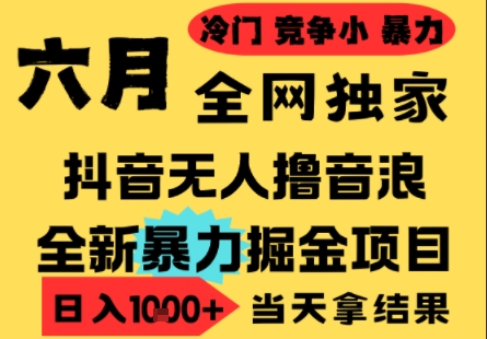 25年6月高爆抖音无人直播最新撸音浪掘金项目，小白可做，无脑日入1k+，门槛低可批量矩阵【揭秘】-刀客资源网