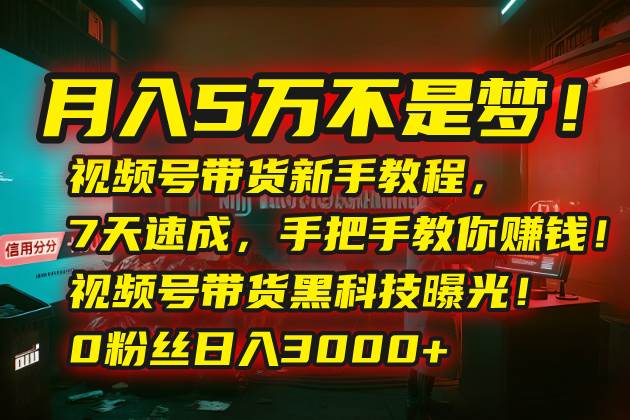 （15595期）月入5万不是梦！视频号带货新手教程，7天速成，手把手教你赚钱！视频号…-刀客资源网
