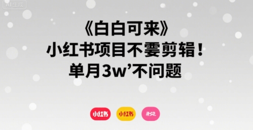 小白可来 小红书项目不需要剪辑 单月3w不是问题-刀客资源网