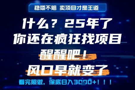 什么？25年你还在疯狂找项目做，醒醒吧，看完这些你全都懂了！【揭秘】-刀客资源网