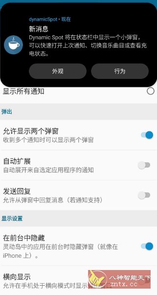 dynamicSpot 动态通知岛1.95 高级版-刀客资源网