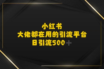 小红书，大佬都在用的大粉平台，日引流500+-刀客资源网