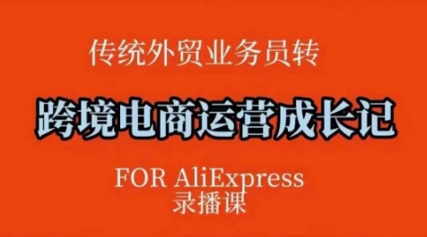 跨境电商速卖通运营课，​运营方法论+后台实操，逻辑清晰-刀客资源网