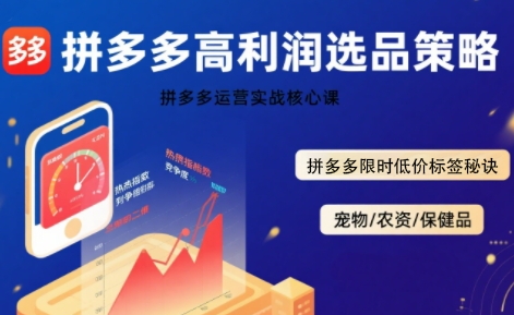 拼多多选品暴利技术实战课，拼多多高利润选品策略，拼多多限时低价标签秘诀-刀客资源网