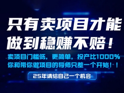 只有卖项目才能做到稳挣不赔，门槛低，更简单，你也可以年入百个W【揭秘】-刀客资源网