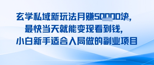 玄学私域新玩法月入1W+，最快当天就能变现看到米，小白新手适合入局做的副业项目-刀客资源网