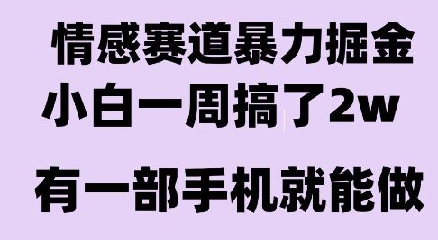 情感暴力掘金项目，新人操作一周挣了2W，长期稳定小白可做【揭秘】-刀客资源网