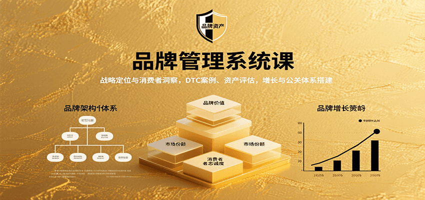 品牌管理系统课：战略定位与消费者洞察，DTC案例、资产评估，增长与公关体系搭建-刀客资源网