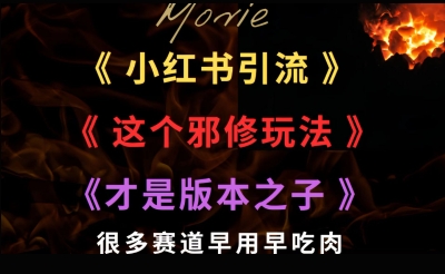 最近小红书引流这个邪修玩法才是版本之子，很多赛道早用早吃肉-刀客资源网