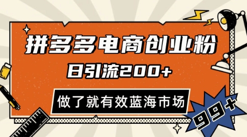 拼多多引流电商创业粉，日引200+，可矩阵放大，做了就有效【揭秘】-刀客资源网
