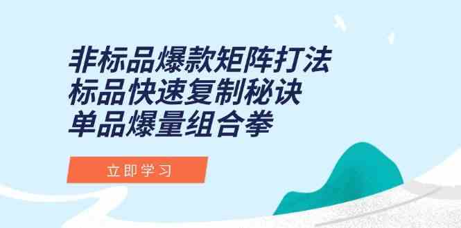 非标品爆款矩阵打法，标品快速复制秘诀，单品爆量组合拳-刀客资源网