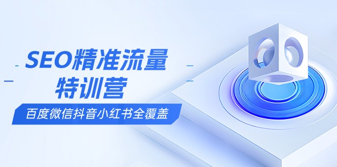 SEO精准流量特训营，百度微信抖音小红书全覆盖，带你搞懂搜索优化核心技巧-刀客资源网