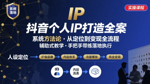 抖音个人IP系统落地实操大课，实操课程，辅助落地-刀客资源网