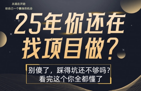 25年，你还在疯狂的找项目吗？别傻了，看完这个你都懂了【揭秘】-刀客资源网