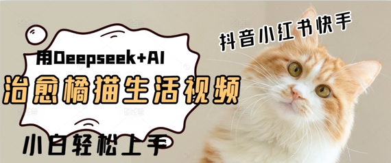疯狂火爆，用Deepseek+AI做治愈橘猫系列视频，小白轻松制作+快速拿到结果-刀客资源网