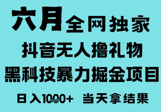 25年6月高爆抖音无人直播最新撸音浪掘金项目，门槛低小白可做，无脑日入1k，可矩阵放大【揭秘】-刀客资源网