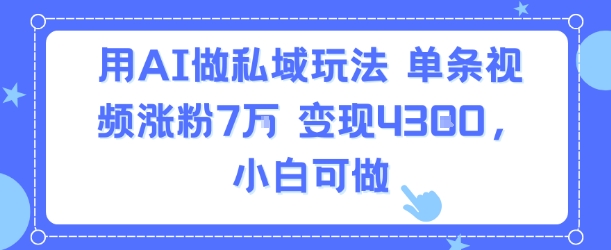 用AI做私域玩法，单条视频涨粉7W变现4.3k，小白可做-刀客资源网