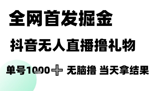 全网首发掘金抖音无人直播撸礼物，单号1k +无脑撸，当天拿结果【揭秘】-刀客资源网