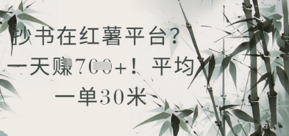 抄书在小红薯平台？平均一单30米，一天收益几张！-刀客资源网