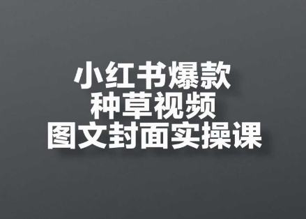 小红书爆款种草视频图文封面实操课，开店、选品、引流、变现全流程-刀客资源网