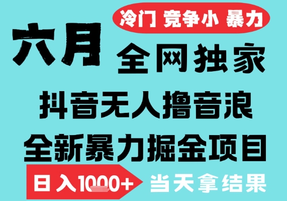 2025年6月高爆抖音无人直播最新撸音浪掘金项目，无脑日入1k+，低门槛小白可做，可矩阵放大【揭秘】-刀客资源网