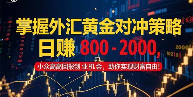 （15198期）掌握外汇黄金对冲策略，日赚 800 – 2000，小众高回报创业机会，助你实…-刀客资源网
