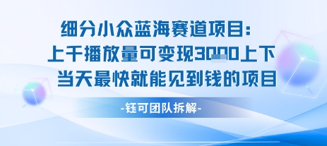 小众蓝海赛道项目：当天变现1k+适合新手操作 +适合长期玩-刀客资源网